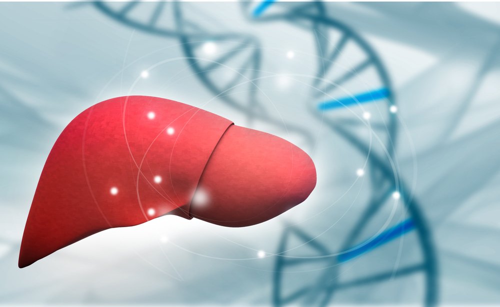 illustration of liver and a DNA strand