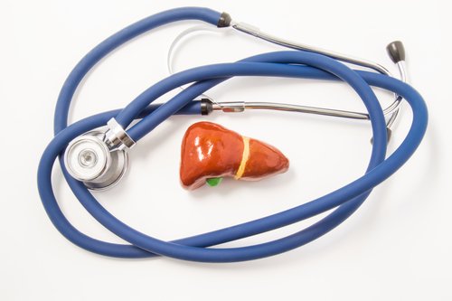 a model of a liver surrounded by a stethoscope
