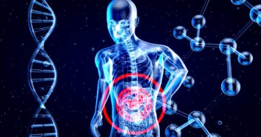 An X-ray diagram of a person with a target pointing to the liver with DNA and cells surrounding it