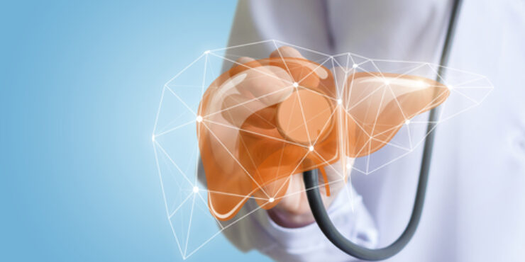 A drawing of a liver with a doctor holding it