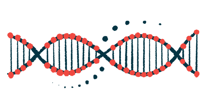 A close-up view of a strand of DNA highlights its ribbon-like structure.