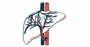 The liver and its bile ducts are highlighted in this close-up illustration.