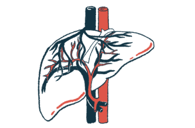 The liver and its bile ducts are highlighted in this close-up illustration.