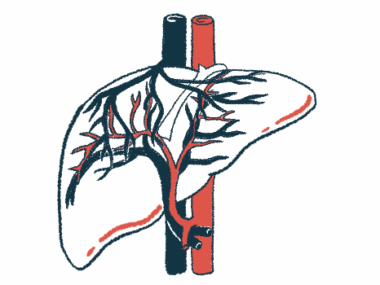 The liver and its bile ducts are highlighted in this close-up illustration.