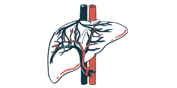 The liver and its bile ducts are highlighted in this close-up illustration.