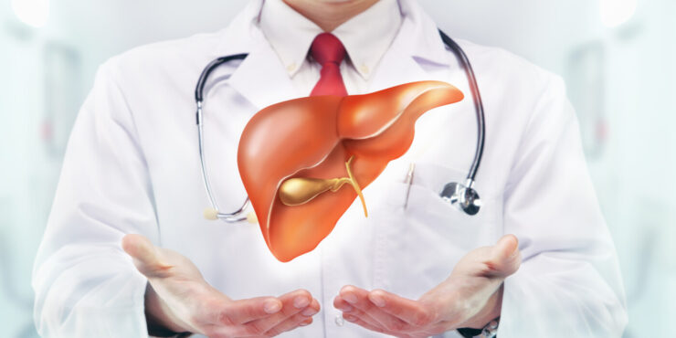 a doctor with a model of a liver above his outstretched hands