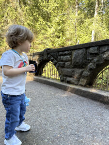 A young boy stands on what looks like a pedestrian bridge overlooking something out of frame. A large forest is in the background.