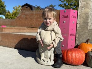 A blond 2-year-old boy squats down slightly to hug a small statue of a pig. He's standing in front of a wooden wall that has a bright pink cover on one end that reads "Oink." There are several pumpkins next to him and what appears to be a barn in the background. It's a bright, sunny day and the boy looks overjoyed.