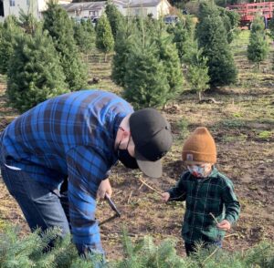 A father in a long-sleeve flannel shirt bends over to cut a Christmas tree on a tree farm. To his left is a small child with warm clothes who is helping with the task. Rows of Christmas trees growing in the ground can be seen behind them. 