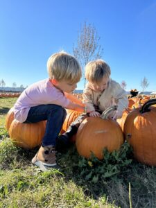 Two young boys play in a pumpkin patch on a sunny day. To the left, the older of the two boys sits on a large pumpkin while his younger brother plays with the top of a pumpkin.