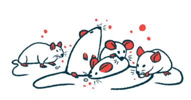 A handful of mice are seen clustered together, with one eating a food pellet.