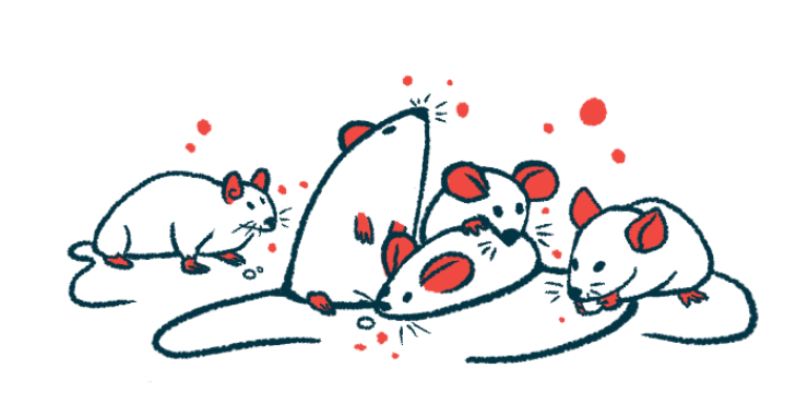 A handful of mice are seen clustered together, with one eating a food pellet.