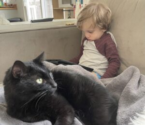 A blond boy sits on a couch in his home, with what appears to be a tablet on his lap. A gray blanket is bunched up around him, and a black cat is curled up in front of the boy.