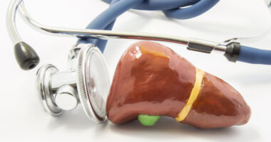 stethoscope and model of liver on white background