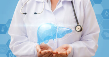 liver diagram being held in doctor's hands
