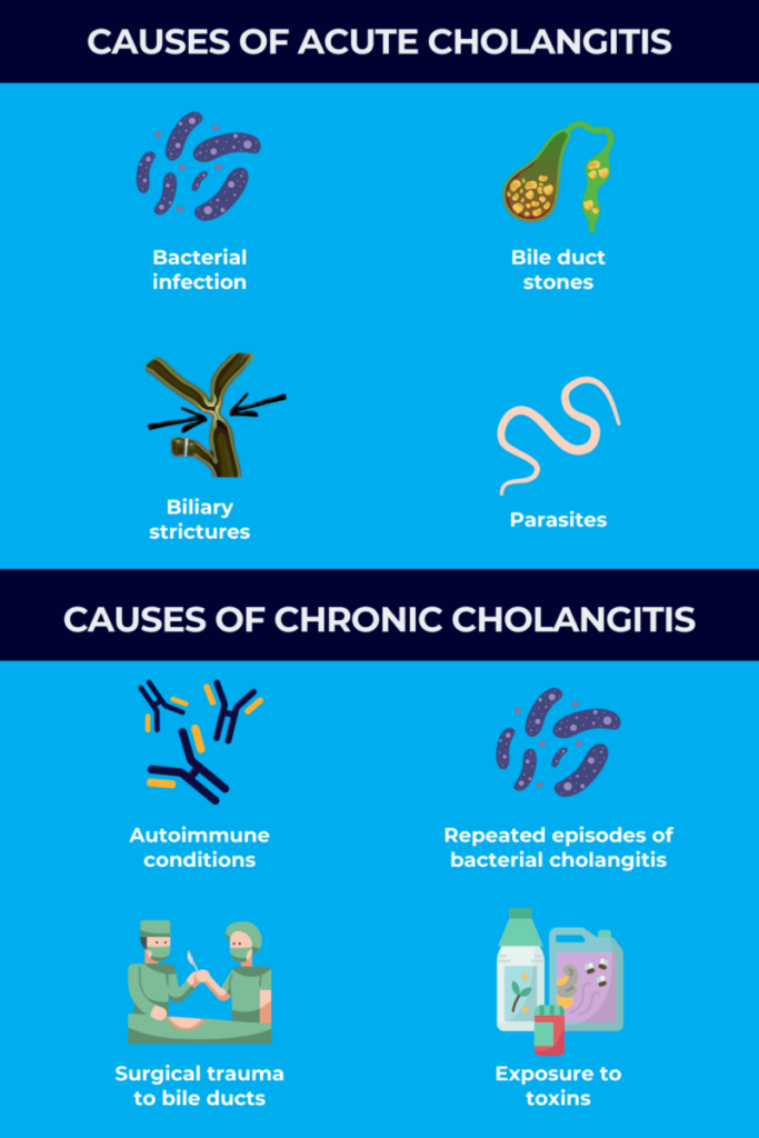 Causes of acute and chronic cholangitis