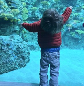 A 4-year-old boy dressed in a puffy, red jacket and blue jeans has his arms spread wide and his had tilted all the way back to look up, up, up. In front of him is a massive, blue, underwater world in a large public aquarium, with some coral visible in the background.