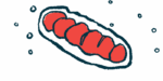 An oblong oval with red circles inside represents cellular energy producers called mitochondria.