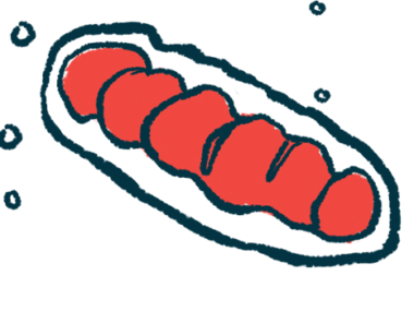 An oblong oval with red circles inside represents cellular energy producers called mitochondria.