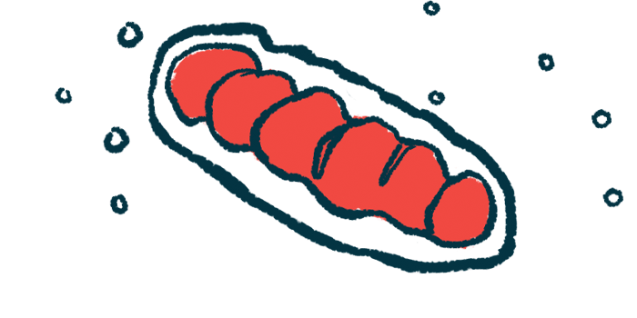 An oblong oval with red circles inside represents cellular energy producers called mitochondria.