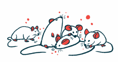 A group of mice are seen clustered together, with one holding a food pellet in its paws.