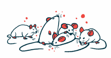 A group of mice are seen clustered together, with one holding a food pellet in its paws.