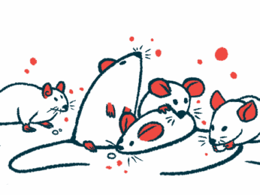 A group of mice are seen clustered together, with one holding a food pellet in its paws.