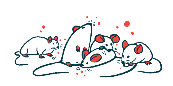 A group of mice are seen clustered together, with one holding a food pellet in its paws.