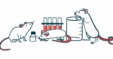 A trio of mice explore laboratory equipment.
