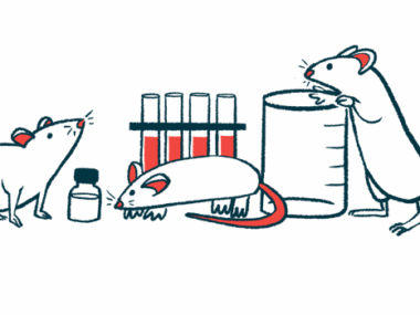 A trio of mice explore laboratory equipment.