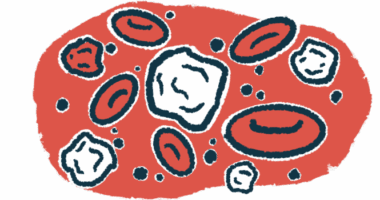 An illustration provides a close-up view of both white and red blood cells.