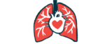 An illustration of the lungs and heart.